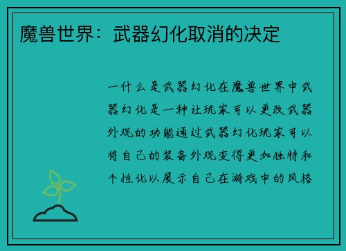魔兽世界：武器幻化取消的决定