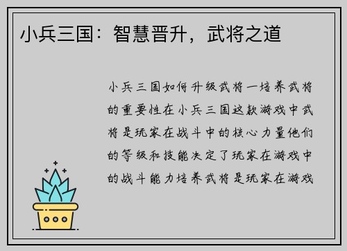 小兵三国：智慧晋升，武将之道