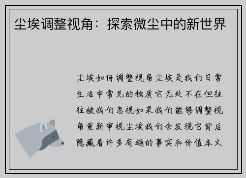 尘埃调整视角：探索微尘中的新世界